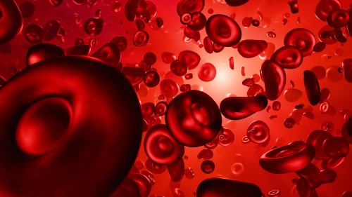 red-blood-cells-7739308_1920.jpg